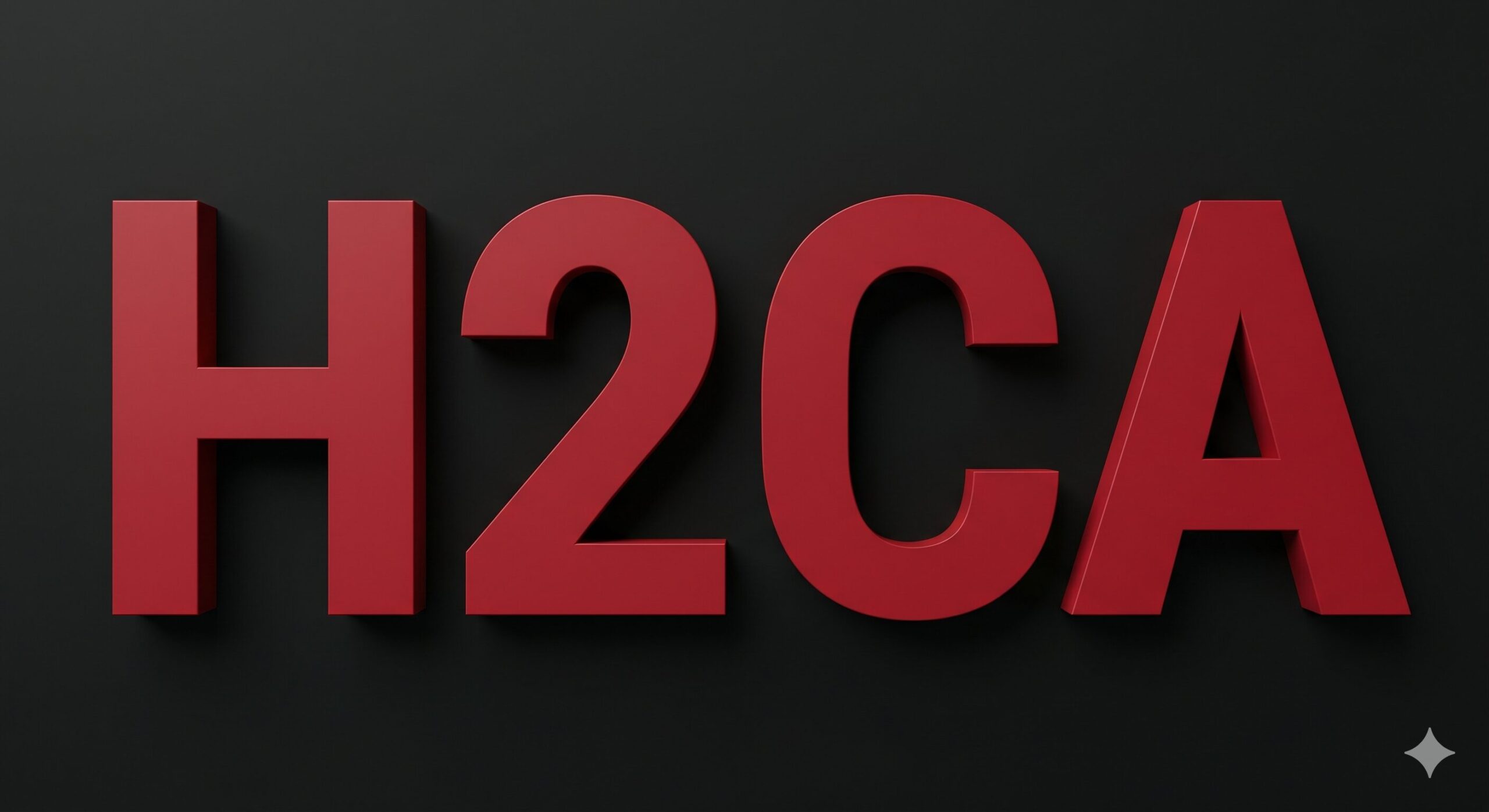 auditoresyconsultoresh2ca